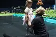 Studio Baletowe OiFP będzie kształcić małych tancerzy