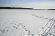 Kolejny dzień z opadami śniegu, miejscami intensywnymi