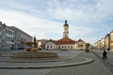 WOŚP w muzeum. Białostockie placówki zagrają z Orkiestrą