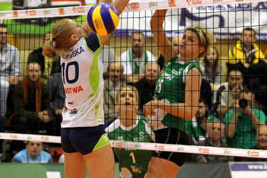 Orlen Liga Kobiet: Ważny mecz AZS-u we Wrocławiu