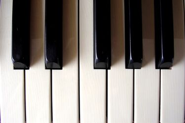 Wirtuozi zagrają Chopina w Krainie Żubra