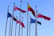 Szkolne Kluby Europejskie  - projekt współpracy uczniów z nauczycielami