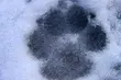 Pogoda. W ciągu dnia temperatura na plusie