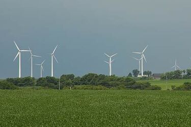 Podlaskie. Rekordowe zainteresowanie energią odnawialną