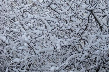 Poniedziałek. Temperatura na minusie