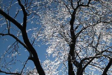 W Białymstoku bez zmian. Kolejny pochmurny dzień