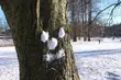 Pogoda na dzisiaj. Temperatura na minusie i opady śniegu