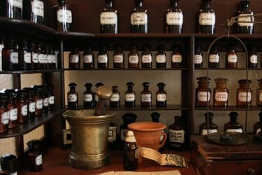 Jak działa serce i dlaczego św. Walenty jest patronem zakochanych? Walentynki w muzeum