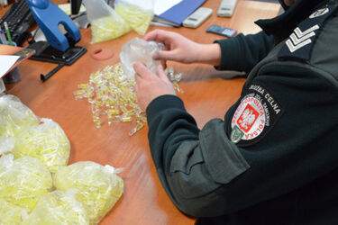 Białostoccy celnicy odkryli kilkaset tysięcy sztuk nielegalnych anabolików