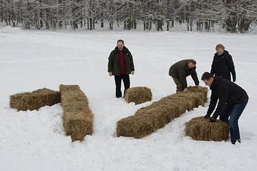 Białowieskie żubry zachęcają do dzielenia się 1% podatku
