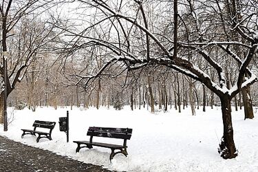 Czwartkowa prognoza pogody