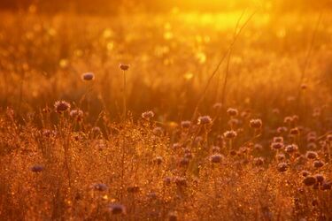 Zabierzcie ze sobą najlepsze wspomnienia. Warsztaty z Agnieszką Tarasiuk w Arsenale