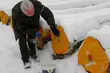 Leśnicy sprzedają wyselekcjonowane drewno. Po raz pierwszy na taką skalę