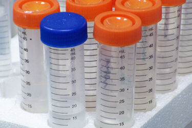 Komórki macierzyste mogą wyleczyć dziecko z wielu chorób. Sprawdź, jakie jest ich zastosowanie