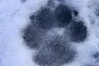 W środę temperatura na plusie