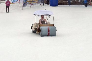 Rusza kolejna edycja „Jazdy na byle czym”