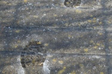 Piątek: opady deszczu ze śniegiem