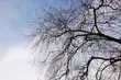 Temperatura na plusie, pogodne niebo