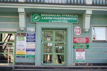 Zapadł wyrok w sprawie urzędników Lasów Państwowych. 