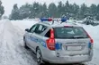 Uratowano tonącego czworonoga
