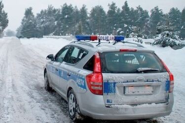 Uratowano tonącego czworonoga