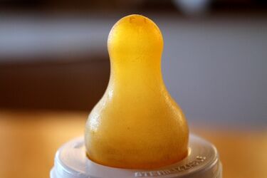 Konkurs edukacyjny dla żłobków