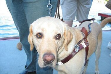 Licealiści poznają działalność organizacji pozarządowych