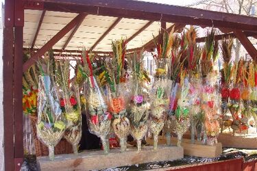 Festiwal Palm w Białymstoku. Weź udział w konkursie