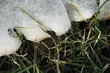 Temperatura na plusie. Możliwe opady