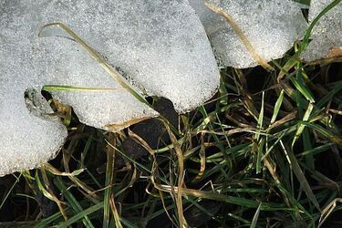 Temperatura na plusie. Możliwe opady