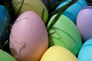 Mam inne zdanie. Nowy rekord Guinessa  z Białegostoku [FELIETON]