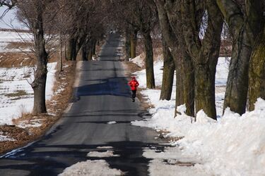 W 40 dni dookoła lasów. Każdy może przyłączyć się do biegu wokół Warmii i Mazur