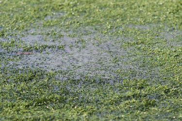 Tylko trzy spotkania III ligi zostaną rozegrane