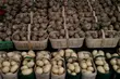 Producenci żywności mogą zaprezentować firmę na targach w Kolonii