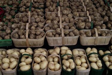 Producenci żywności mogą zaprezentować firmę na targach w Kolonii