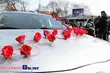 XI Podlaskie Targi Ślubne [ZDJĘCIA]