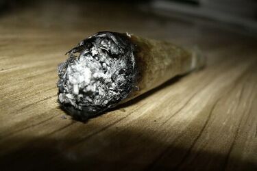 Terapeuci pomogą uzależnionym od marihuany i haszyszu