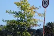 Absurdalne znaki na drodze? GDDKiA czeka na sugestie kierowców