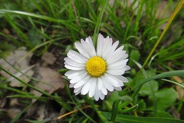 W czwartek termometry wskażą 20°C. Potem nastąpi ochłodzenie