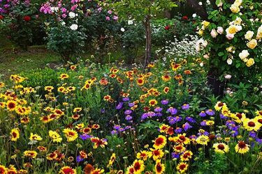 Wiosenne Targi Ogrodnicze i Pszczelarskie w Szepietowie