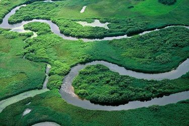 Mężczyzna spadł z tratwy do Biebrzy. Wznowiono poszukiwania