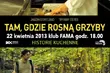 Skosztuj regionalnych smakołyków. Druga odsłona 