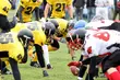 Lowlanders Białystok zagrają w sobotę w Krakowie
