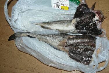 W białostockim hipermarkecie sprzedają zepsute ryby