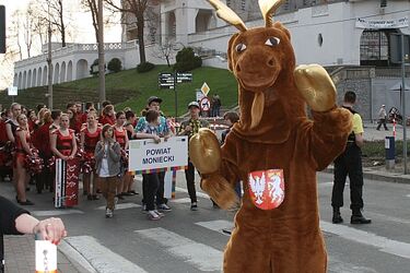 Parada województwa przeszła ulicami Białegostoku [ZDJĘCIA]