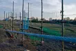 Pod Białymstokiem zaczął działać park linowy