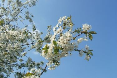 Dziś najcieplejszy dzień od początku roku. W niedzielę tylko 14°C