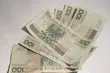 Na fermie gęsi fałszowali pieniądze. Banknoty były złudnie podobne do oryginałów