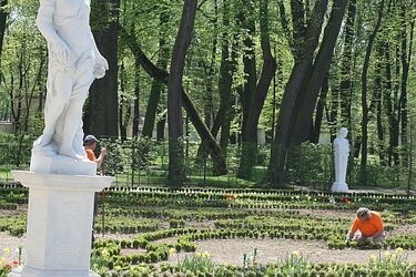 W ogrodzie Branickich pojawiły się wiosenne kwiaty. Można iść na piknik