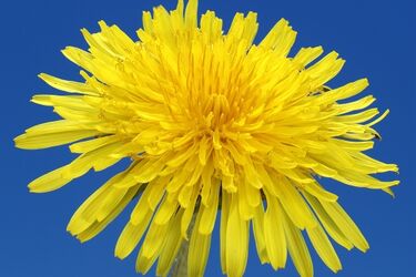 Prawdziwie letni dzień: 26°C i dużo słońca